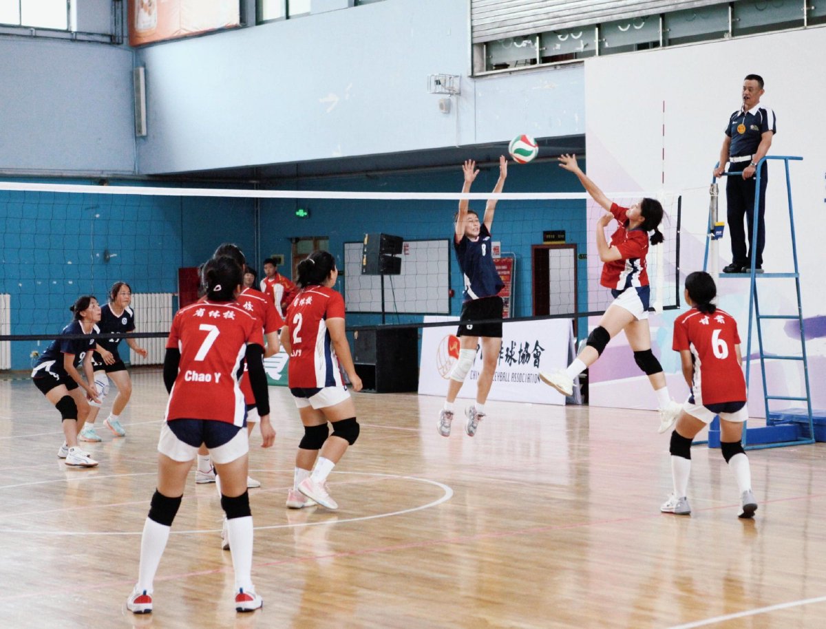 技术流与激情碰撞,排球决赛再创新高的简单介绍 技术流与激情碰撞,排球决赛再创新高的简单介绍