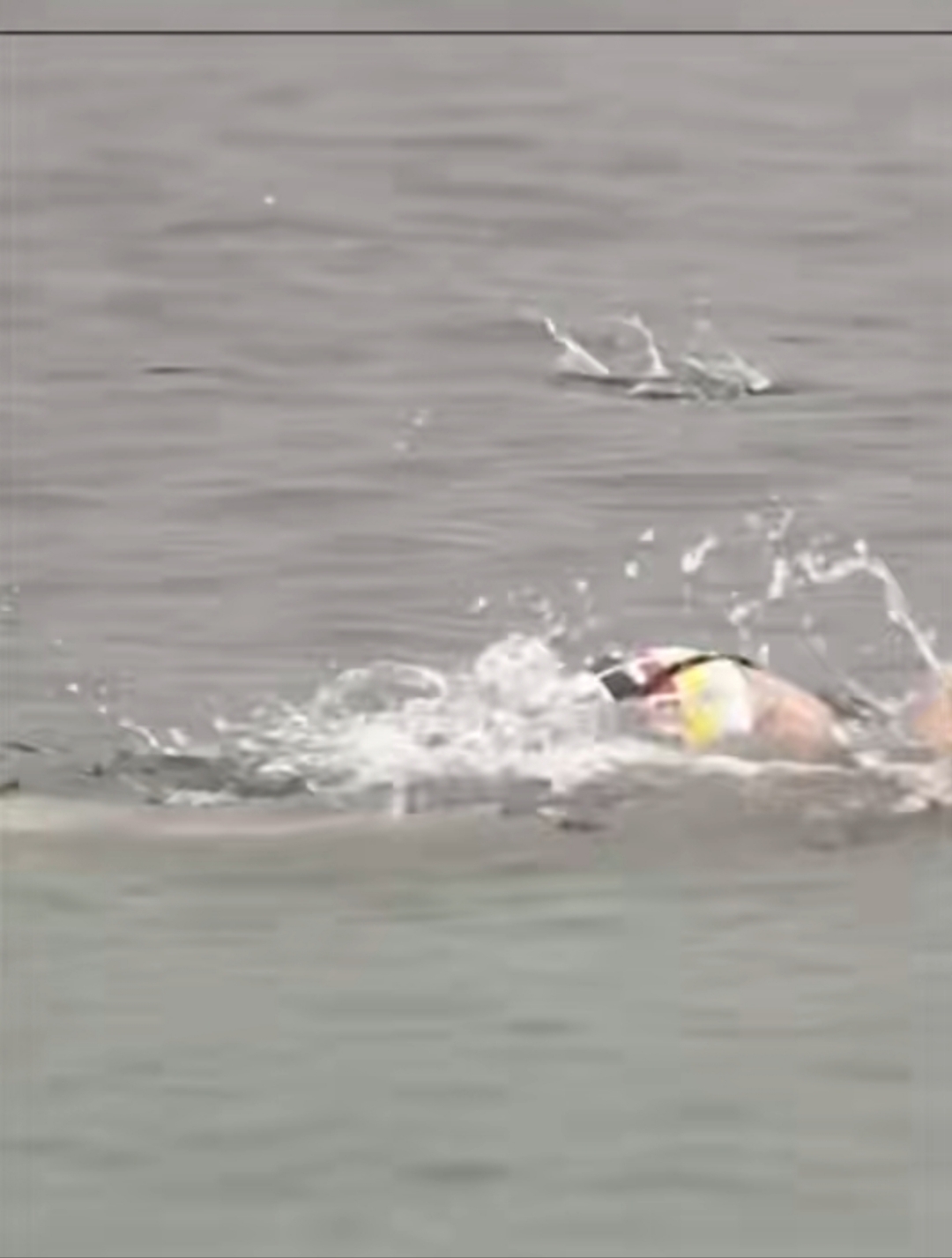 一场经典之战!游泳点燃球迷热情的简单介绍 一场经典之战!游泳点燃球迷热情的简单介绍