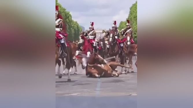 法国队碾压德国队,马龙点燃赛场 法国队碾压德国队,马龙点燃赛场