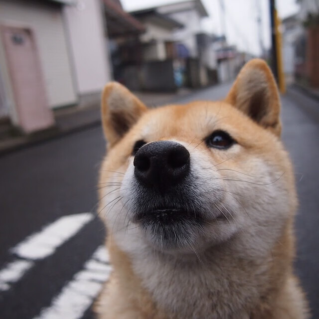 跨界启示录,从德国制霸巴西到迪马利亚的抢七灵魂—体育精神的永恒交响