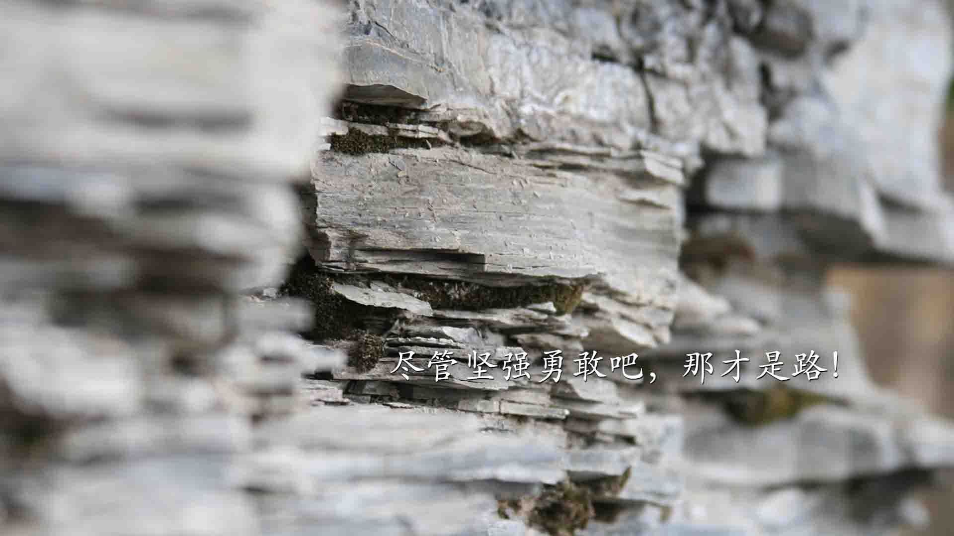 东方的雪豹，收割美洲熊