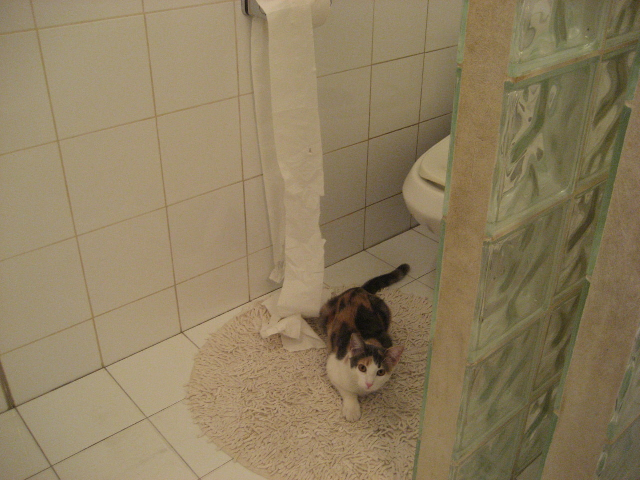 哈登50分风暴席卷五棵松！鹈鹕表演赛大胜北京队40分背后的东西对话