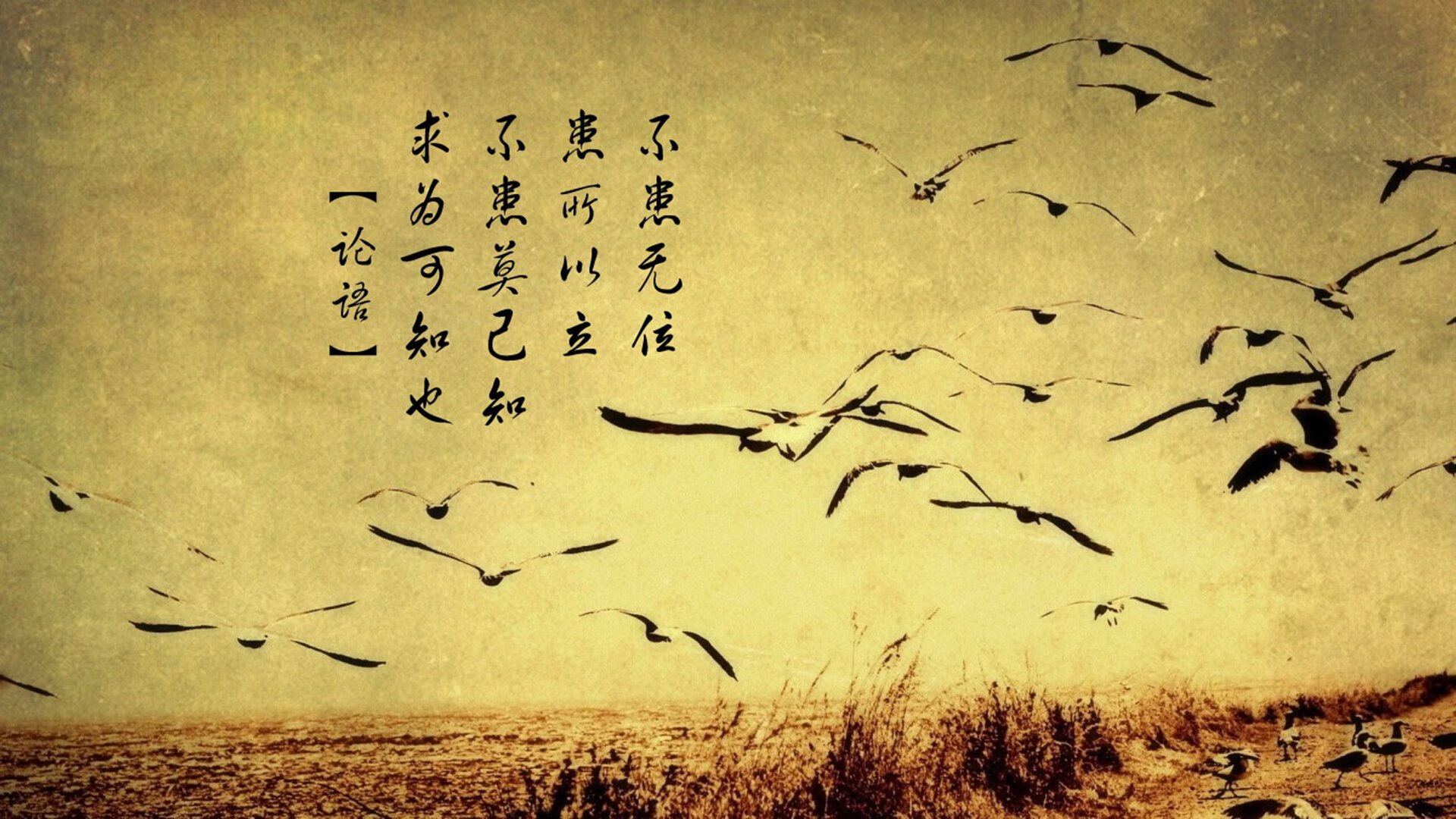 王者之师铁骑踏破京城！伦纳德化身关键先生导演狂胜之夜