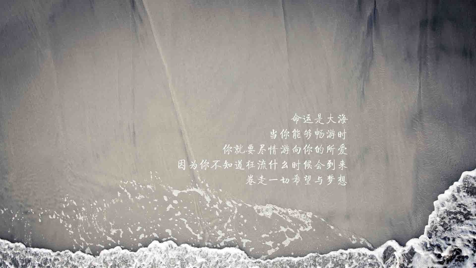 双城记，F1街道赛的轰鸣与篮球馆的绝杀—骑士终场逆转广厦的时速启示