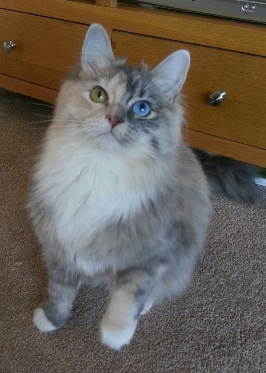 星光与风暴，维尼修斯刷新纪录与哥伦比亚掀翻玻利维亚的双重奏