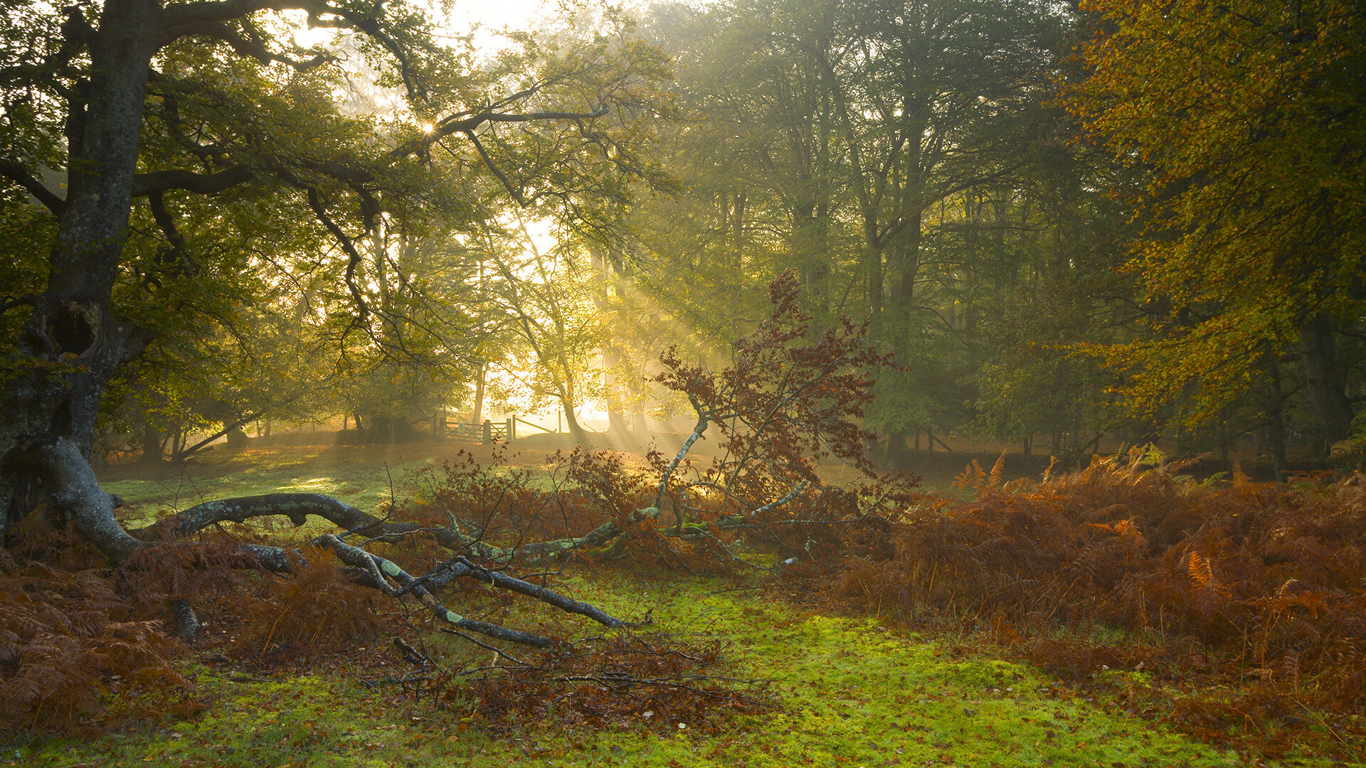 开云体育登录-狼烟北境，辽河悲鸣，当马克西的45分里程碑照亮跨界战场