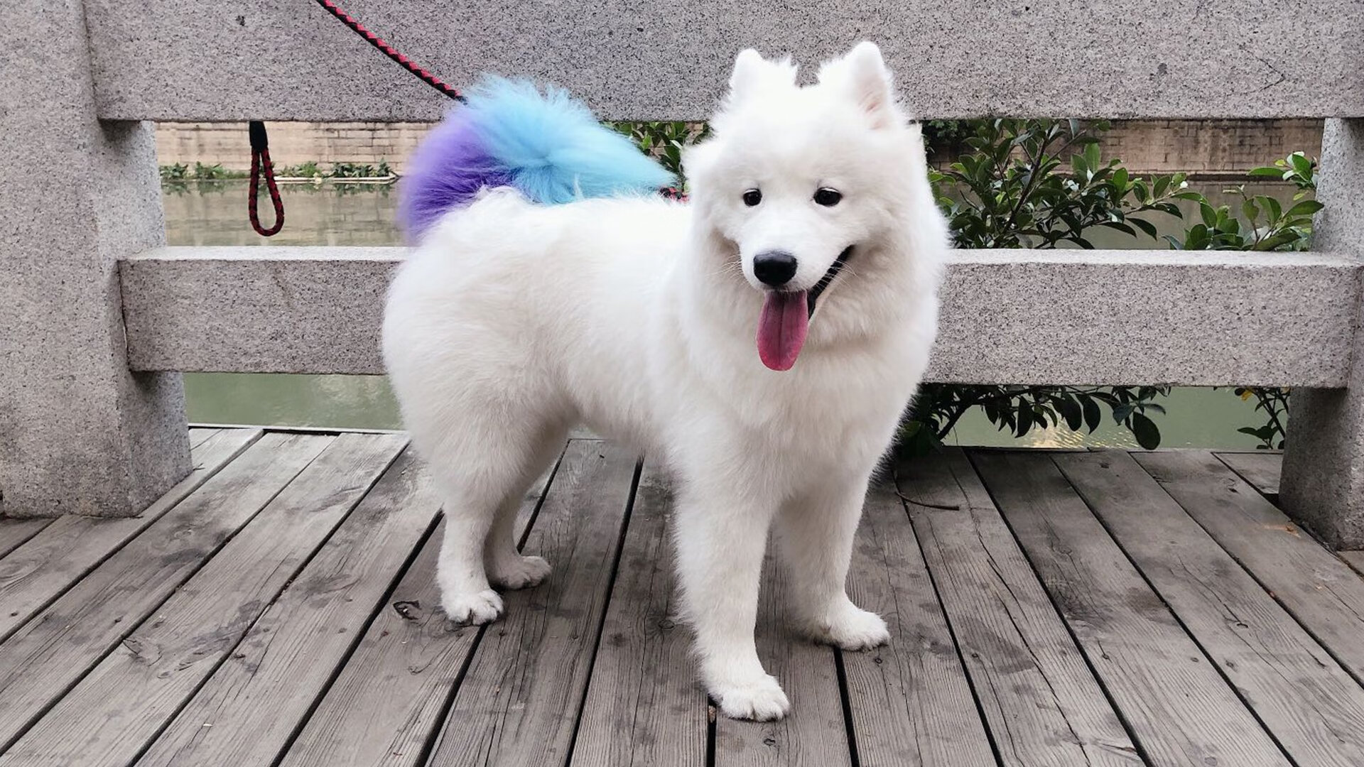 横刀截杀！阿克门线惊魂一刻，导演波兰闪电三连击