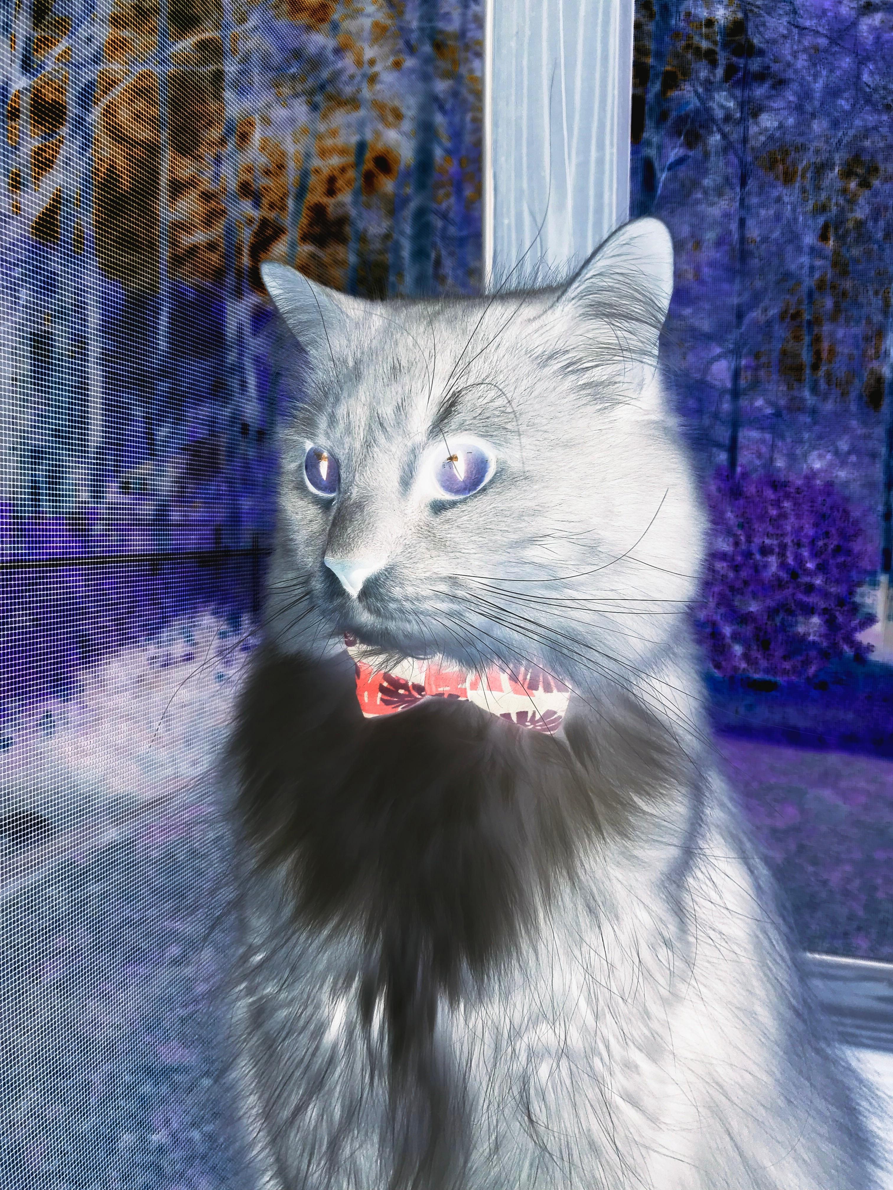 佛祖归位！刀光一闪，快船提前断电—魔术与快船之战，克莱·汤普森如何让悬念消失于第三节？