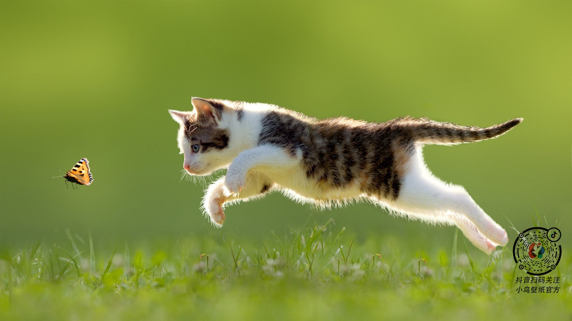 2026世界杯之夜，劳塔罗化身稳定电流，关键输出永不断线