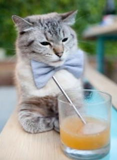 撕裂常规！雄鹿东方客场掀翻广厦，武切维奇末节觉醒成关键先生