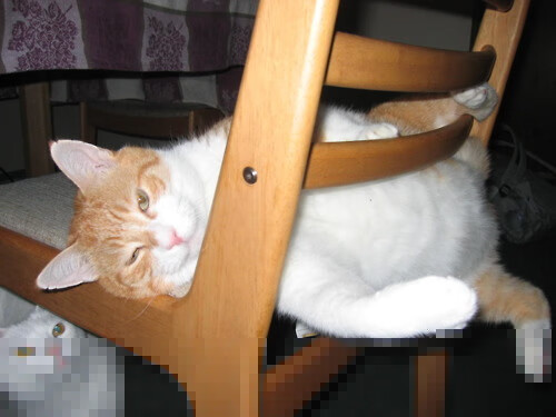 轰鸣与沉默之间，罗德里在揭幕战之夜的凡人与传奇