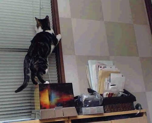 阿坎吉一锤定音，突尼斯意外终结克罗地亚悬念—当防守艺术成为进攻武器