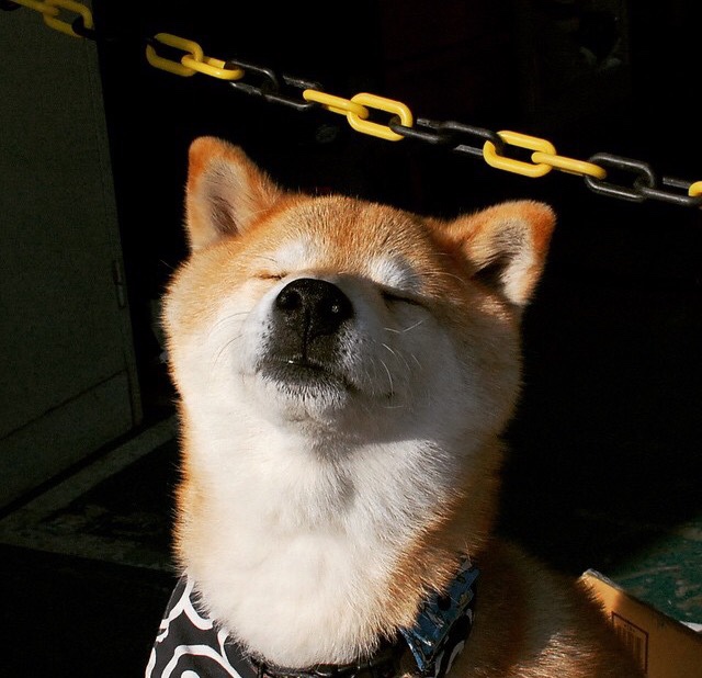 投完那个球，全场的嘘声突然变成了倒抽一口冷气