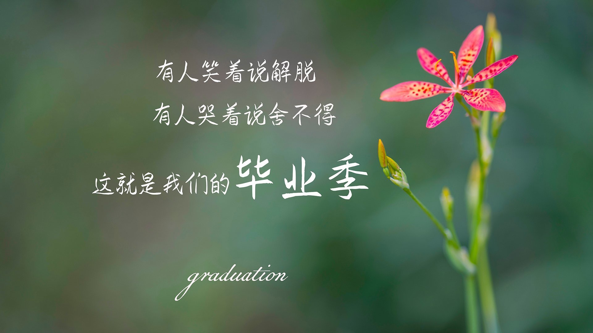 蓝武士的逆戟，当福登成为东京特快的引擎，防守反击如何绞杀迦太基雄鹰