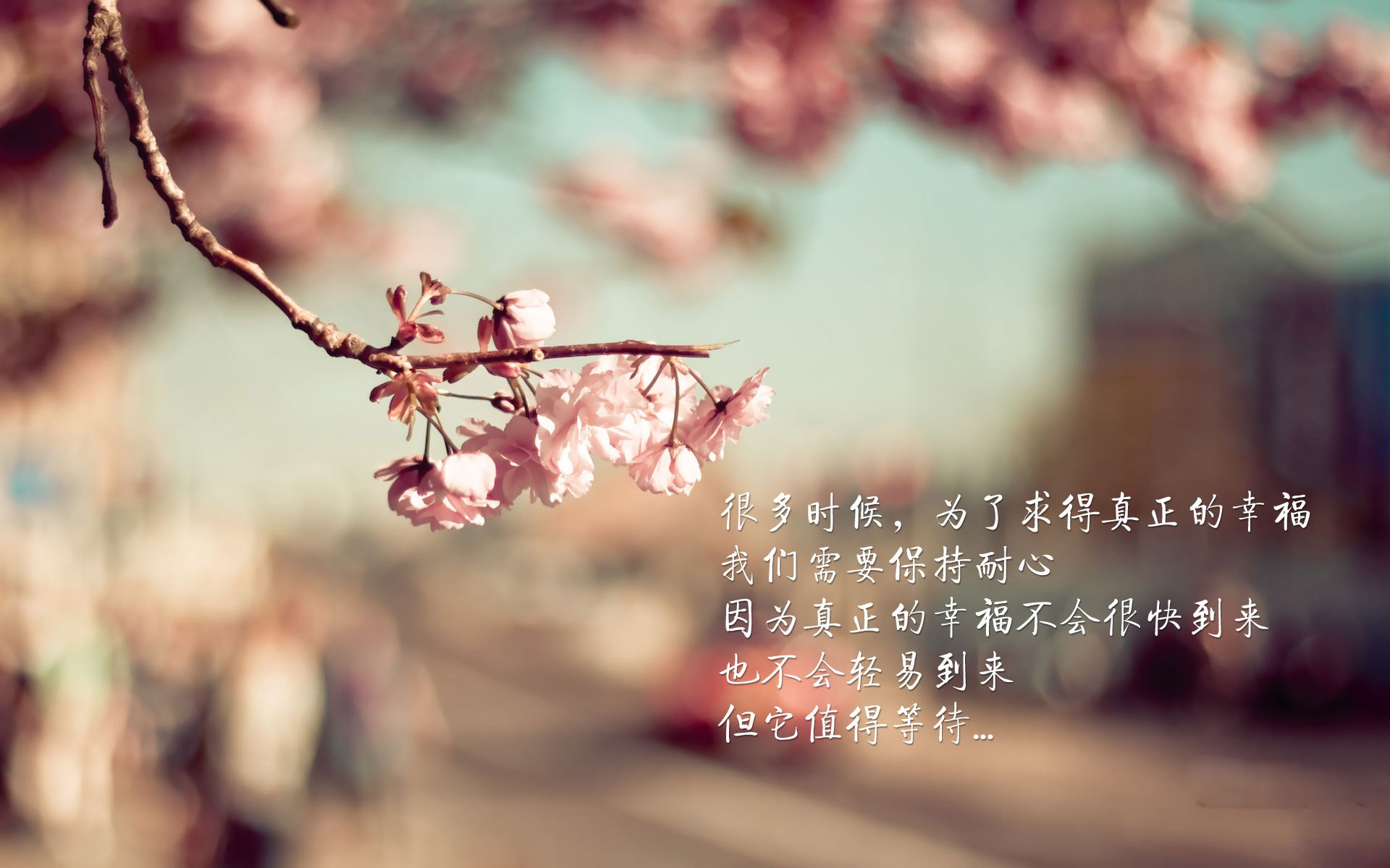 2026世界杯双线叙事，哥伦比亚力克瑞典，莱万带队取胜，节奏紧张如心跳