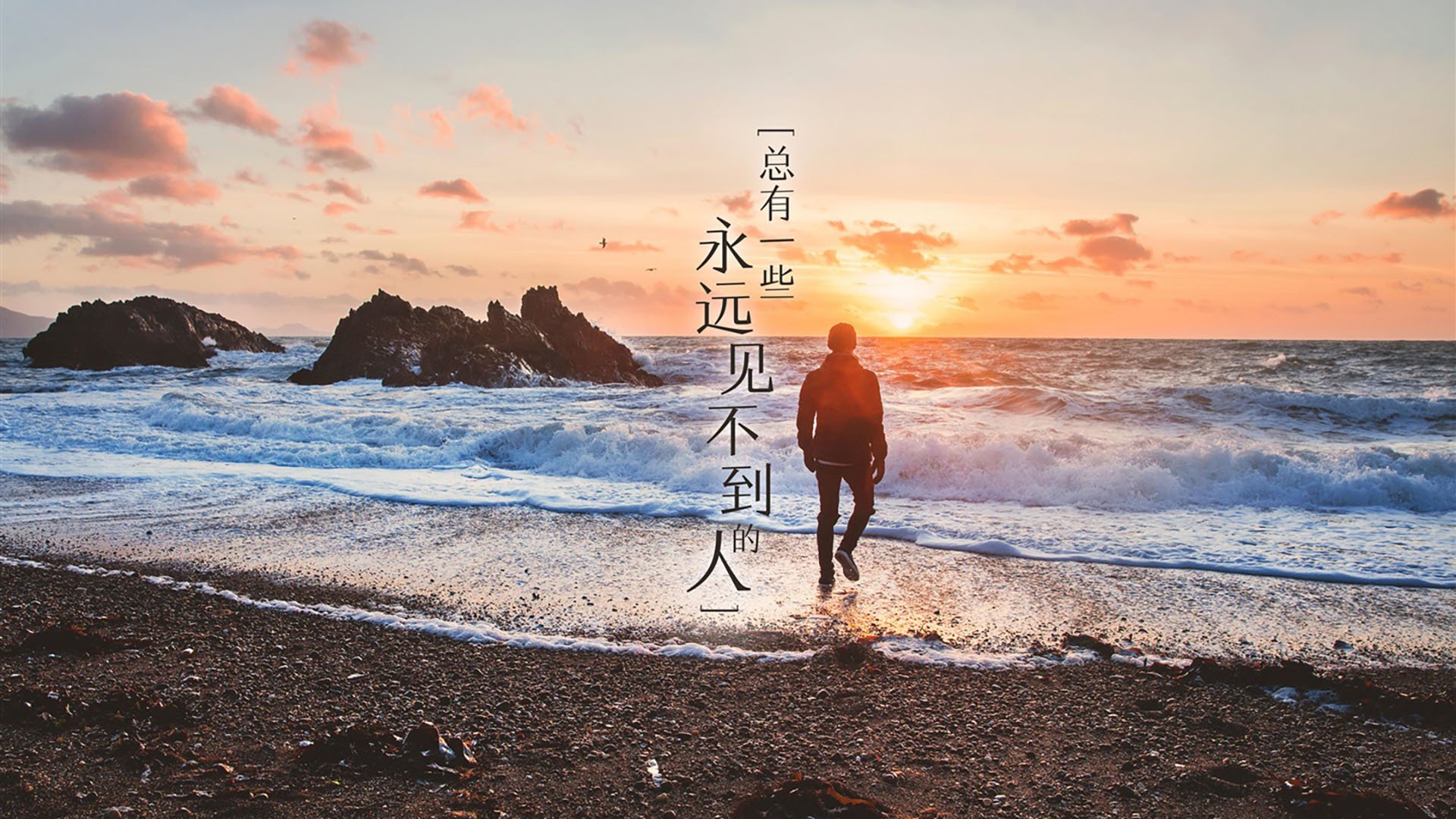 新王加冕与北非雄鹰，2026世界杯C组唯一的不确定与确定的颠覆
