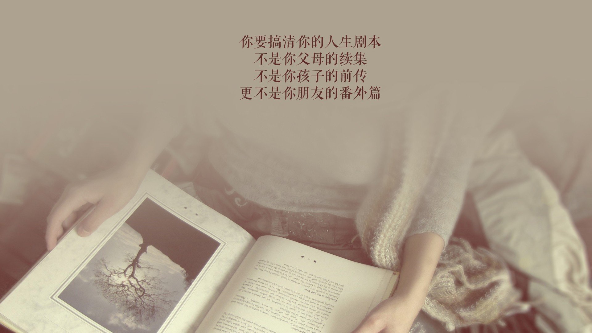 沙漠风暴席卷安联，2026世界杯G组突尼斯5-0完胜德国，德容铸就迦太基神话