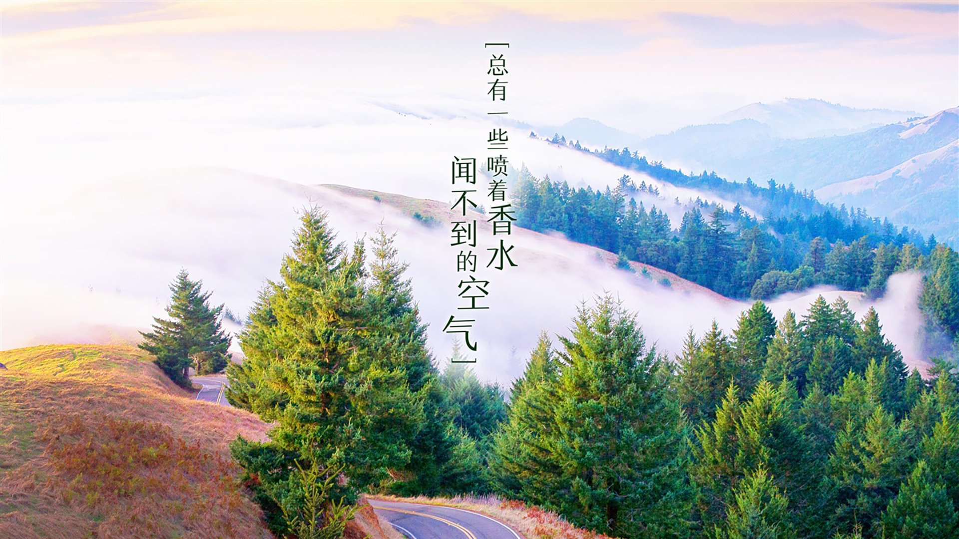 当魔兽成为军师，卢卡库的诡计，如何让越南在沙漠中开出奇迹之花